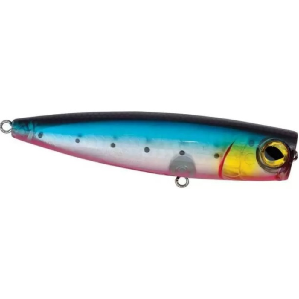 Rapture Yankee Pop 105 Colore BSRD
