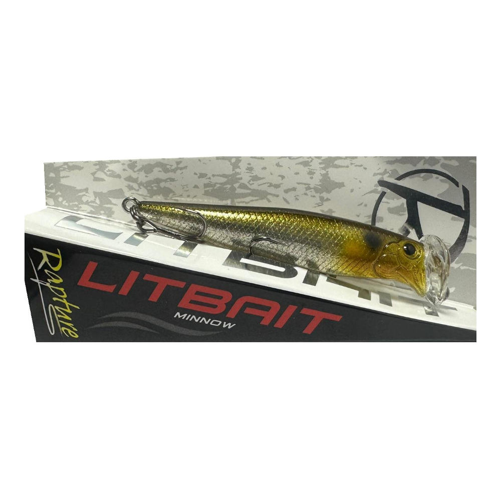 RAPTURE R.PRO LITBAIT 76MM 13 G SINKING SWS