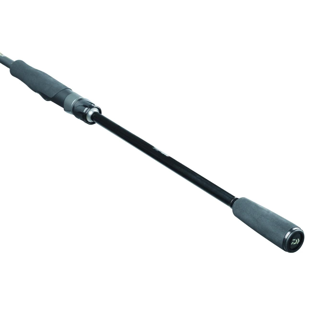 DAIWA CANNA 25 EXCELER 802MHHFSAI 10-40G MAX PE #1.5