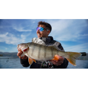 DAIWA CANNA 25 EXCELER 802MHHFSAI 10-40G MAX PE #1.5