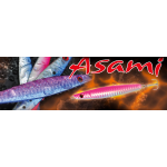 Rapture Asami Casting Jig 60g Colore B