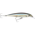 Rapala X-Rap 10 SW Colore ANC